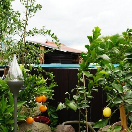 Pension Limone Ferienwohnung 1 Neu Lindenberg 外观 照片