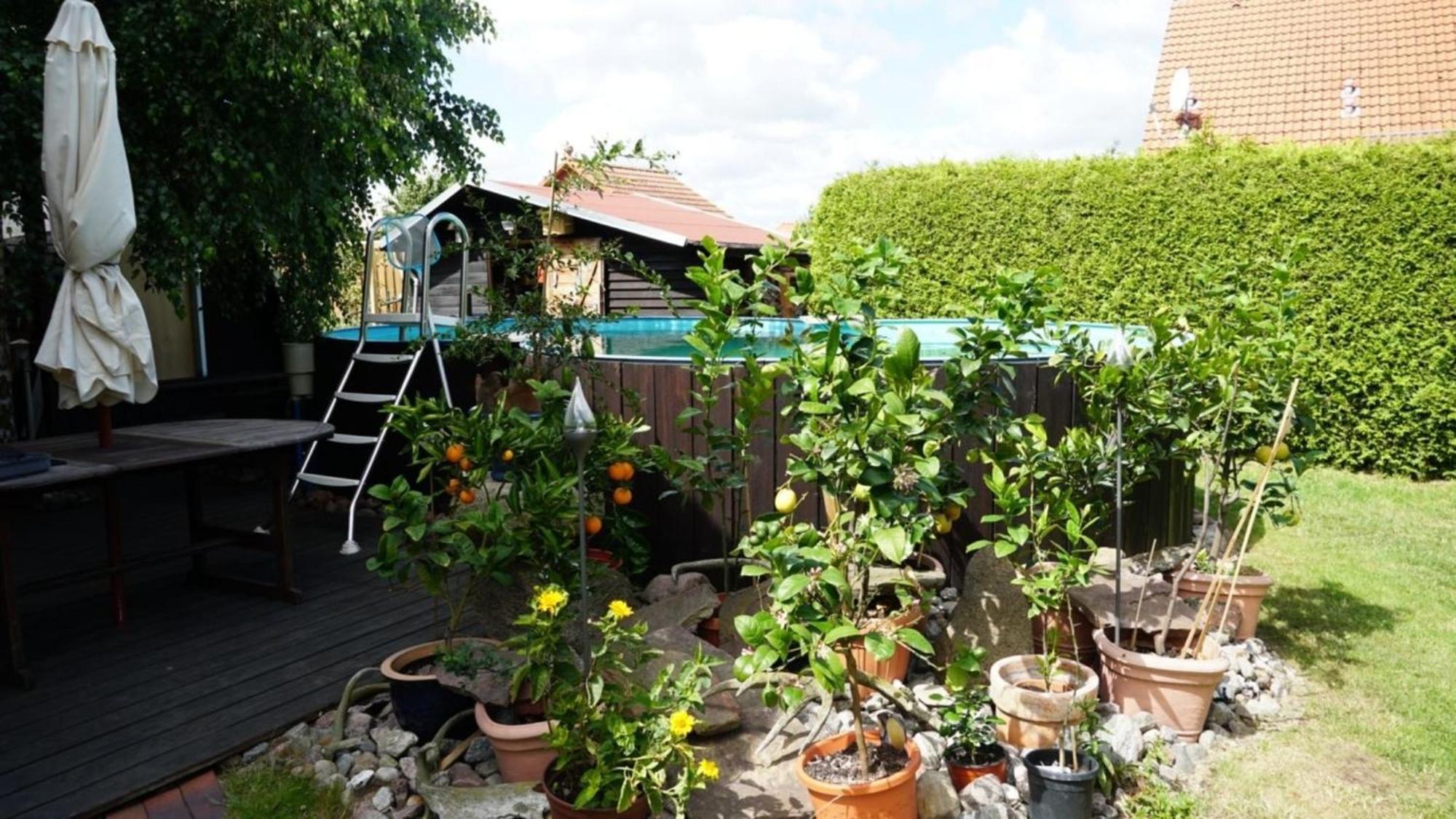 Pension Limone Ferienwohnung 1 Neu Lindenberg 外观 照片