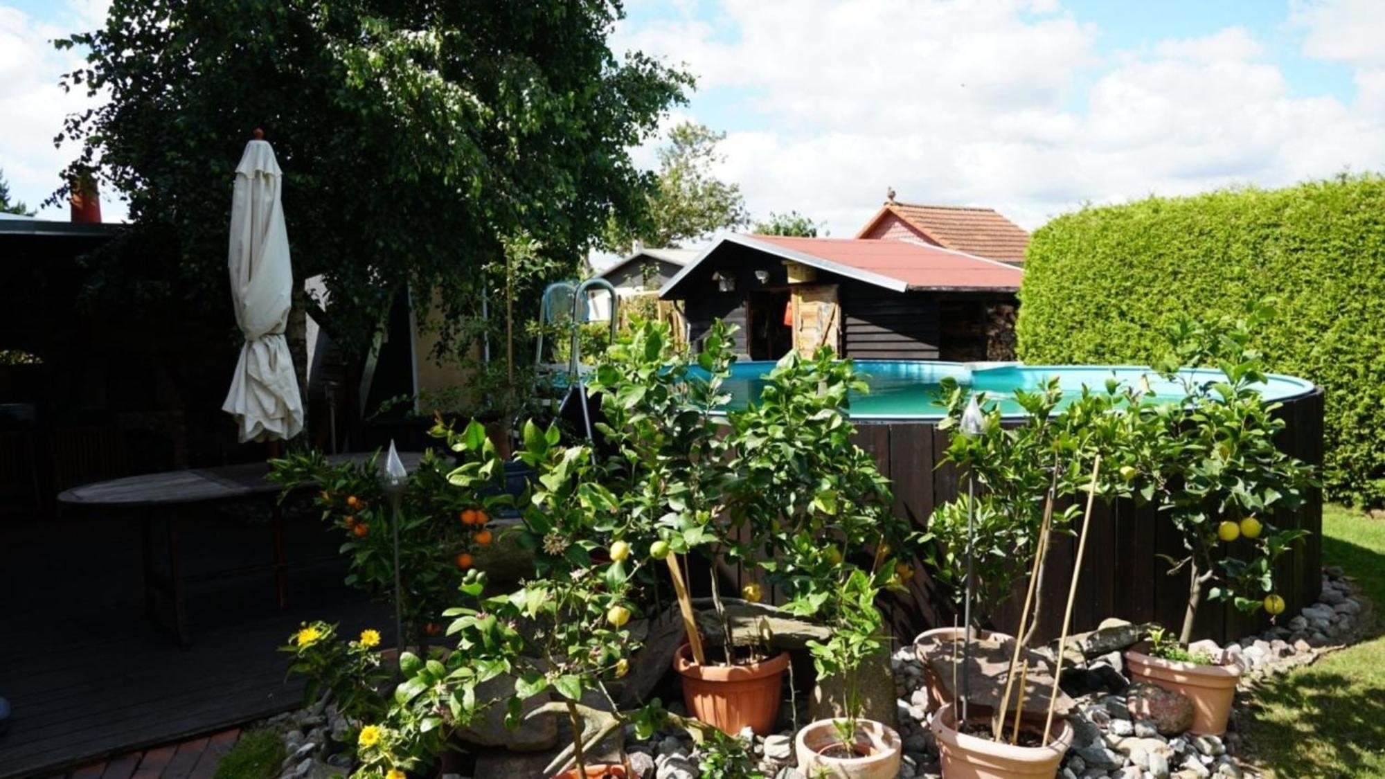 Pension Limone Ferienwohnung 1 Neu Lindenberg 外观 照片