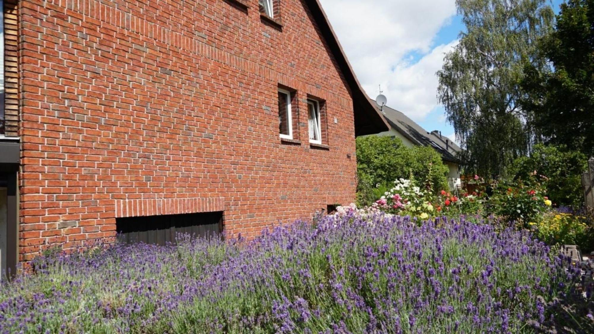 Pension Limone Ferienwohnung 1 Neu Lindenberg 外观 照片
